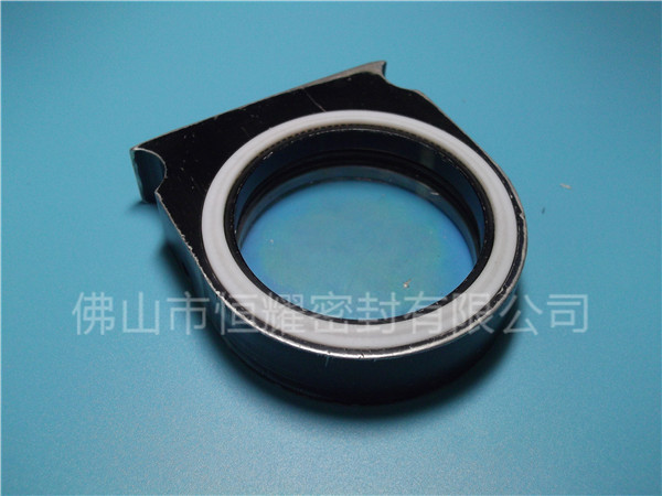 HVF、HVG端面內、外向泛塞封 (2)