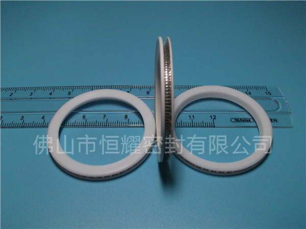 HVF、HVG端面內、外向泛塞封 (10)