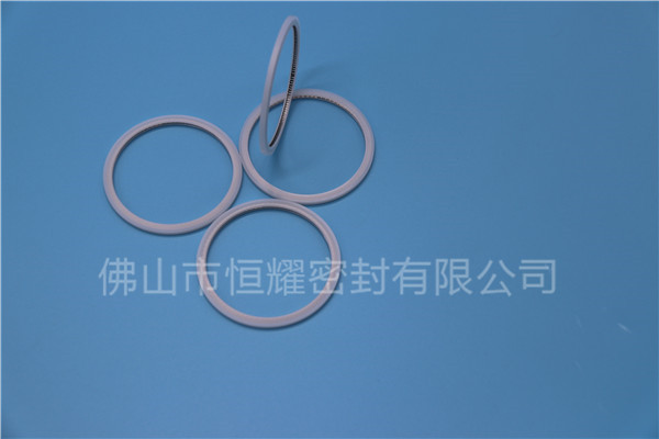 HVF、HVG端面內、外向泛塞封 (20)