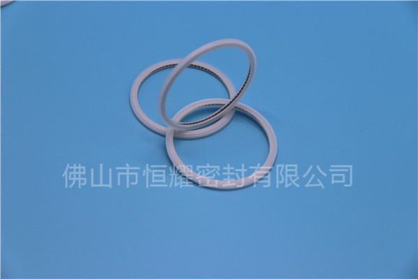HVF、HVG端面內、外向泛塞封 (21)